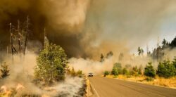 TRU joins U.S-Canada team to improve wildfire prediction models – TRU Newsroom