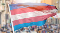 Trans Equality Now: Canada’s unions call for urgent action