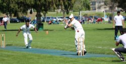 Two decades and growing support for campus cricket – TRU Newsroom