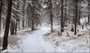 Hiking the Snowy Hills - Kamloops Trails