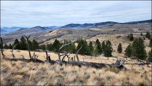 Through the Dry Hills - Kamloops Trails
