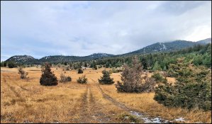 On the Barnes Trails – Kamloops Trails