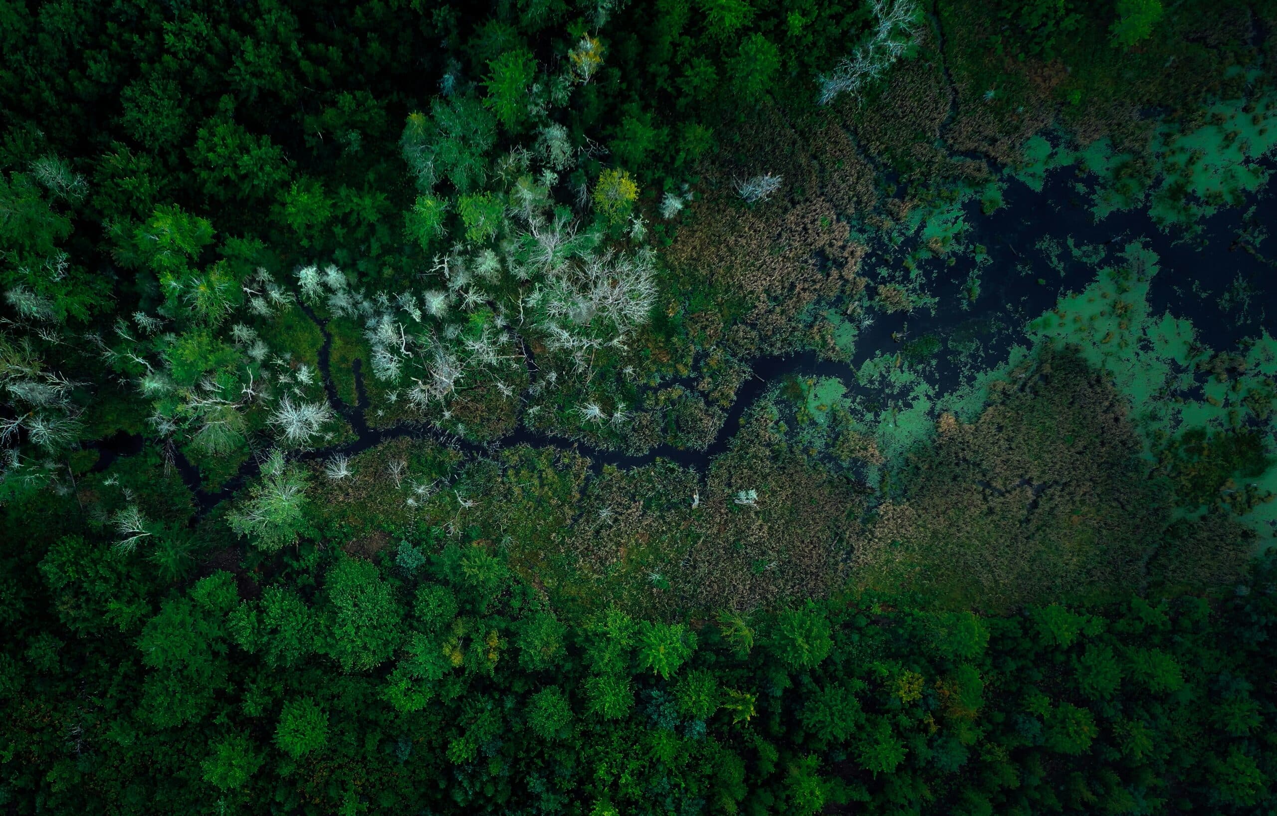 Wetlands are critical to planetary health and Indigenous and human rights