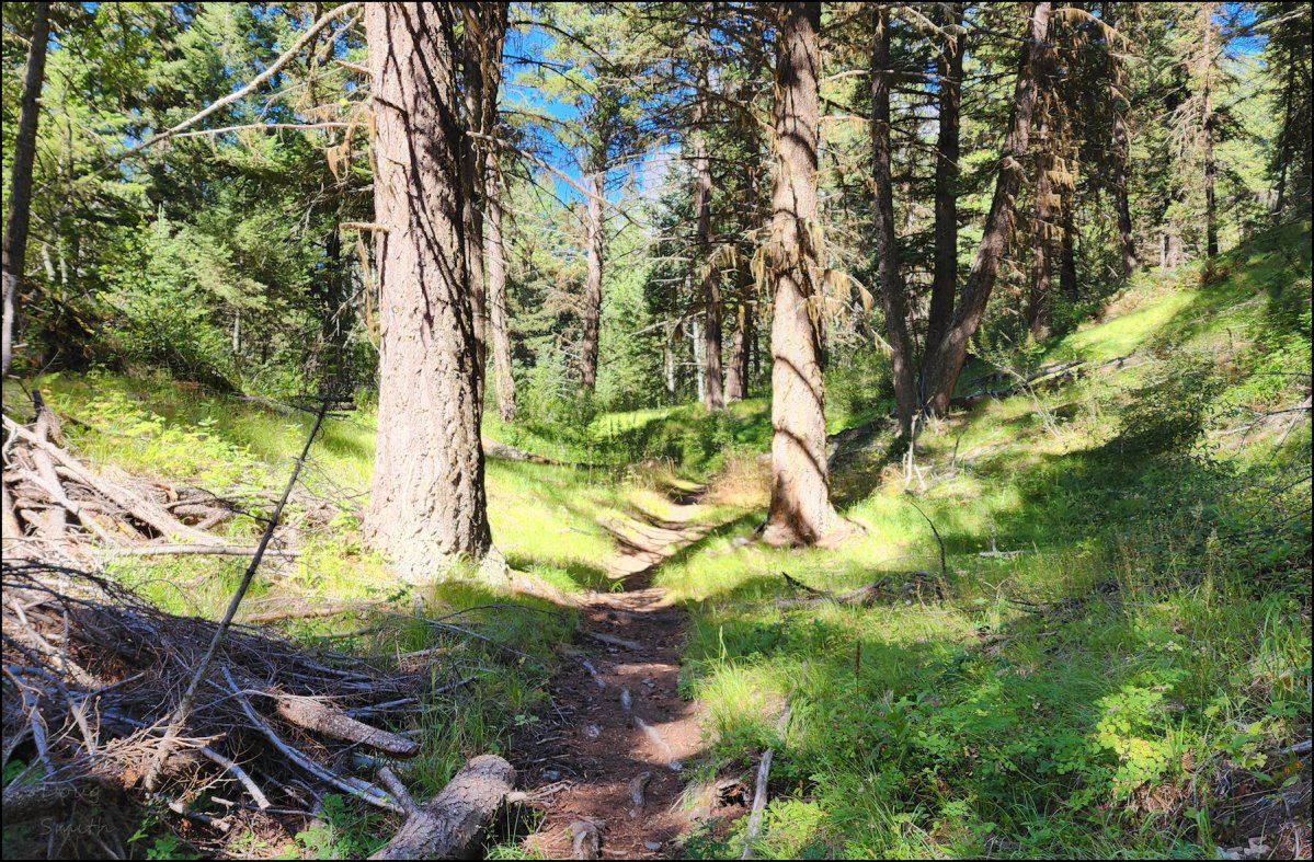 Embleton Mountain Hike – KamloopsTrails