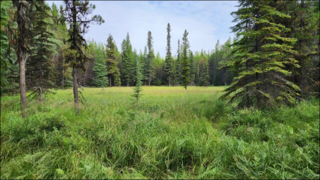 Ridge Lakes Hike – KamloopsTrails