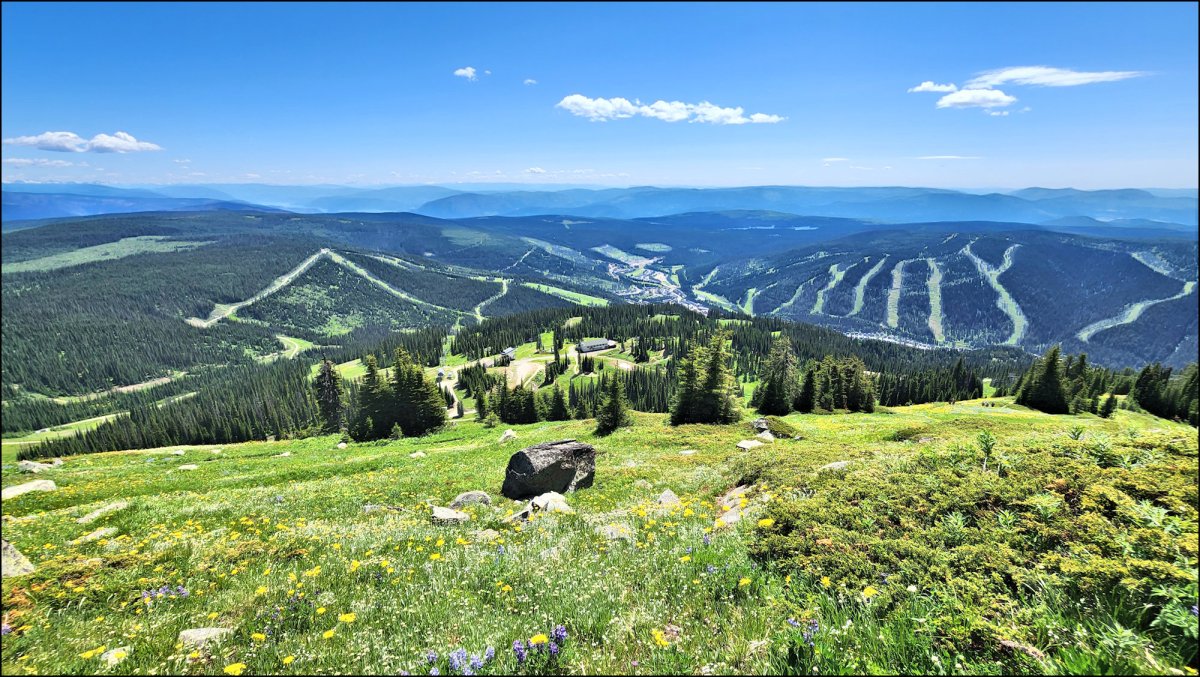 Tod Mountain Meadows Hike – KamloopsTrails