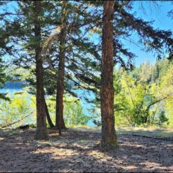 Bulman Lake Hike – KamloopsTrails