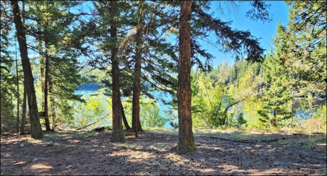 Bulman Lake Hike – KamloopsTrails