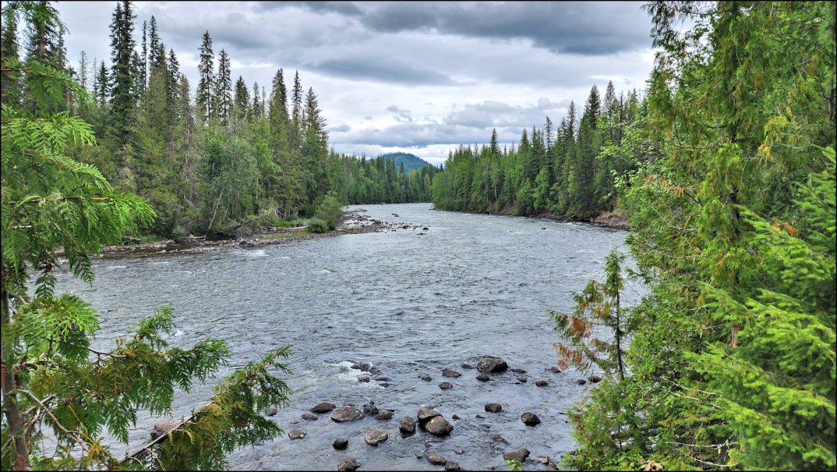 Murtle River Hike – KamloopsTrails