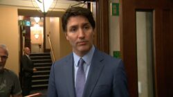 PM Trudeau and MPs on Alberta election results, foreign interference, official languages report