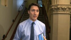 PM Trudeau comments on Chinese govt targeting Conservative MP Michael Chong – May 3, 2023