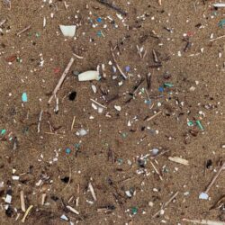 Plastic is polluting our brains and bodies!