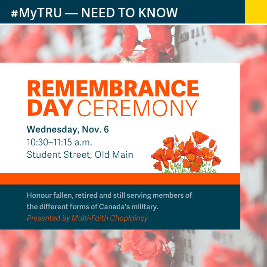 Remembrance Day ceremony