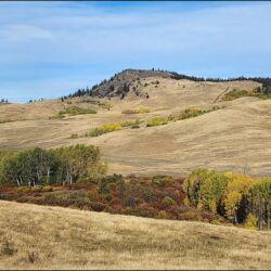 Sugarloaf (Lundbom) Hike – KamloopsTrails