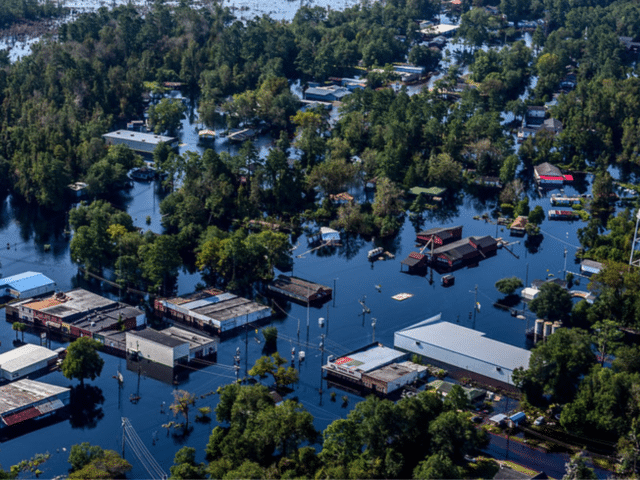 Voting in a time of climate chaos