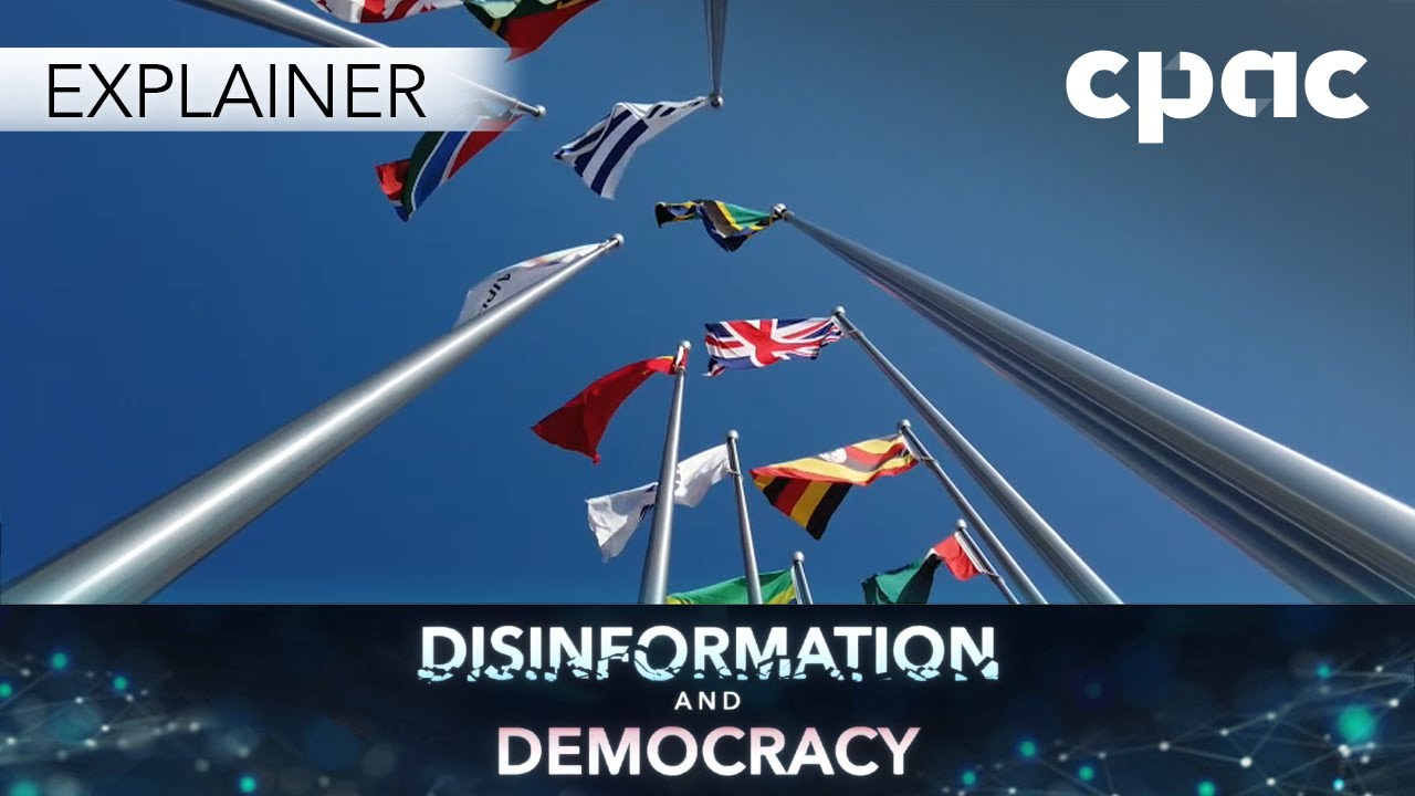 Who are the main propagators of disinformation?