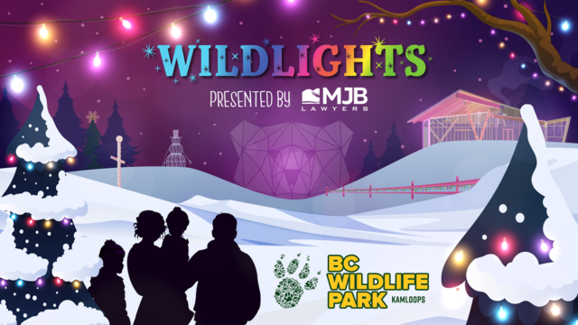 BC Wildlife Park’s Wildlights 2024