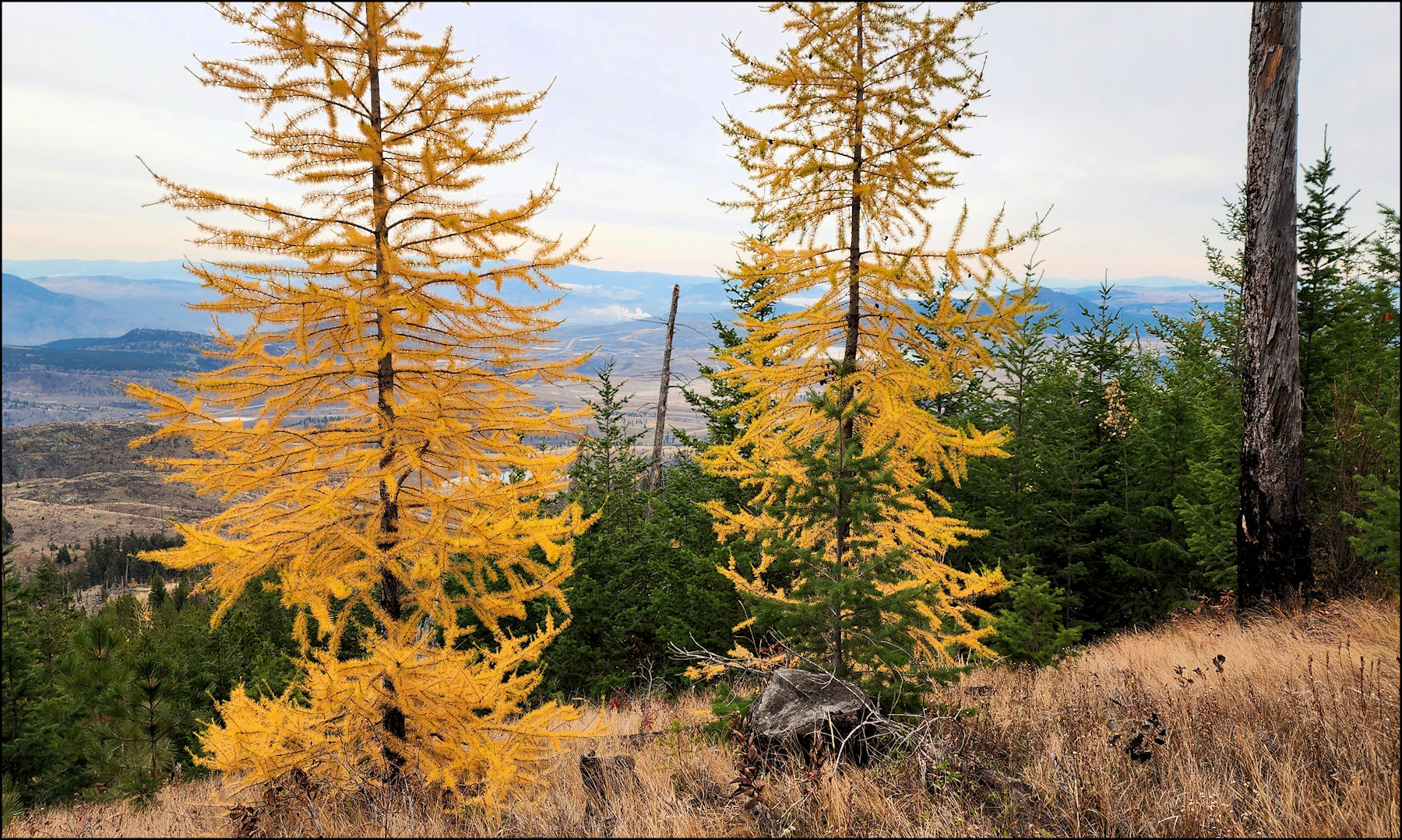 Across Greenstone Mountain - KamloopsTrails