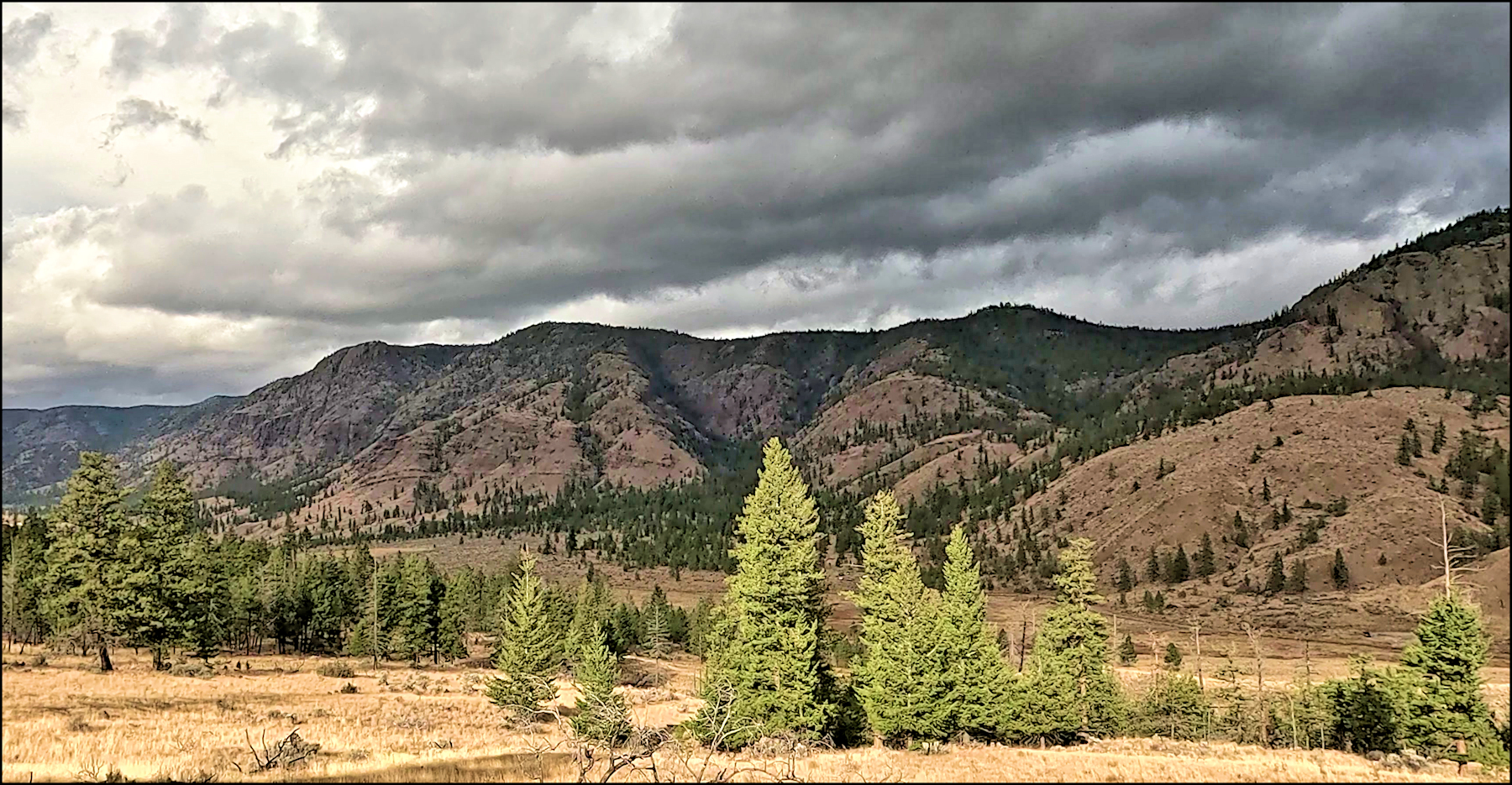 Dewdrop Ridge - Bluebird Trail Loop