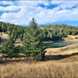 Upper Grasslands Track – KamloopsTrails