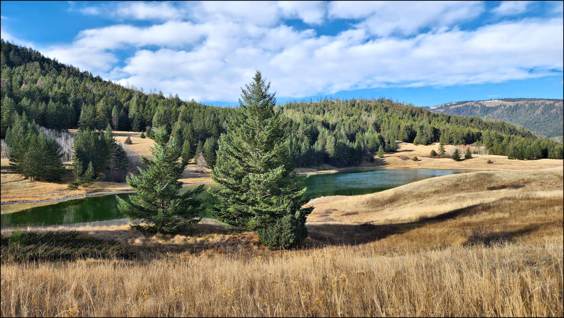 Upper Grasslands Track - KamloopsTrails