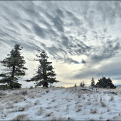 Abbey Hills on the Snow