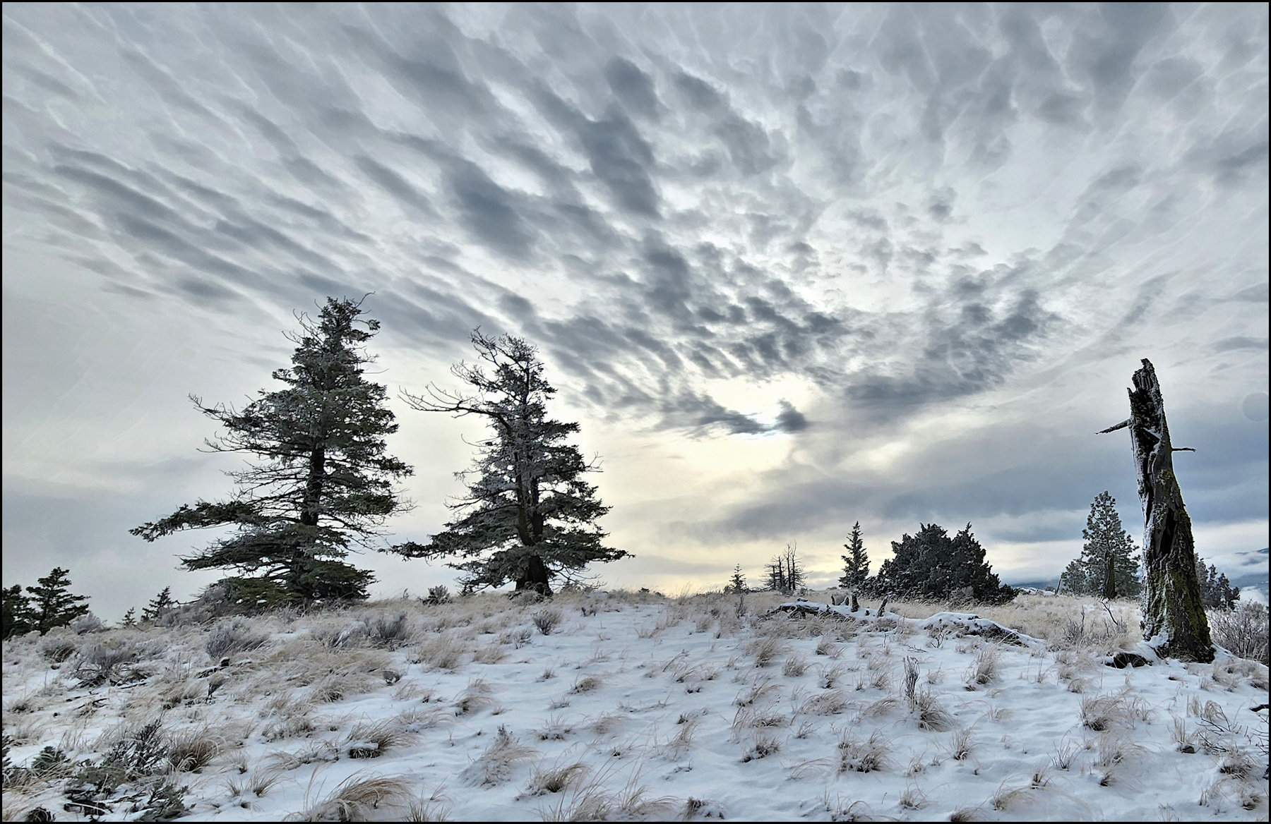 Abbey Hills on the Snow