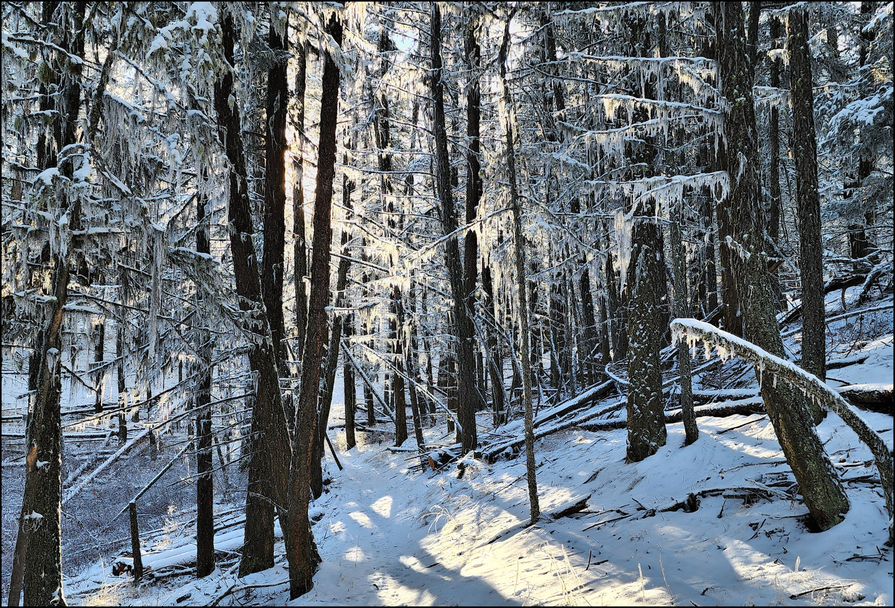 Coal Hill on the Snow