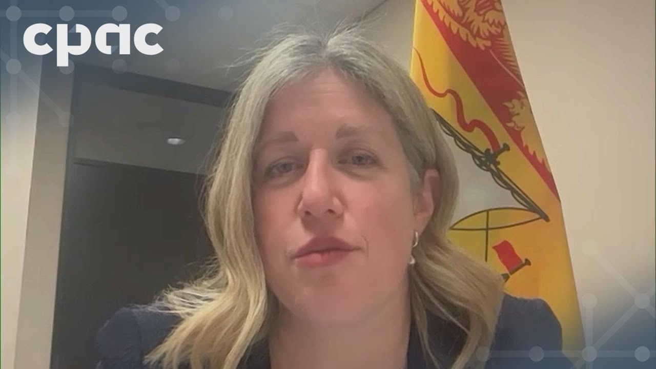 N.B. Premier Susan Holt holds news conference following first ministers’ meeting – January 15, 2025