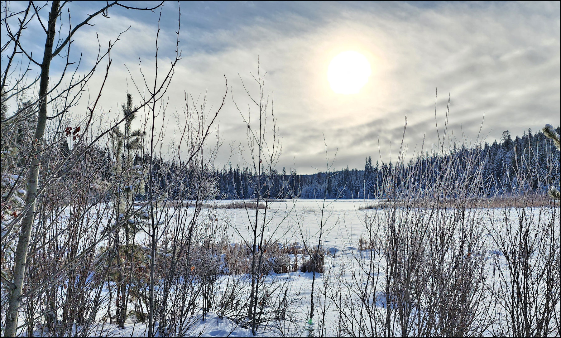 Snowshoeing Bush Lake - KamloopsTrails