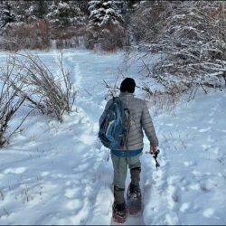 Snowshoeing the Dogwood Marshes – KamloopsTrails