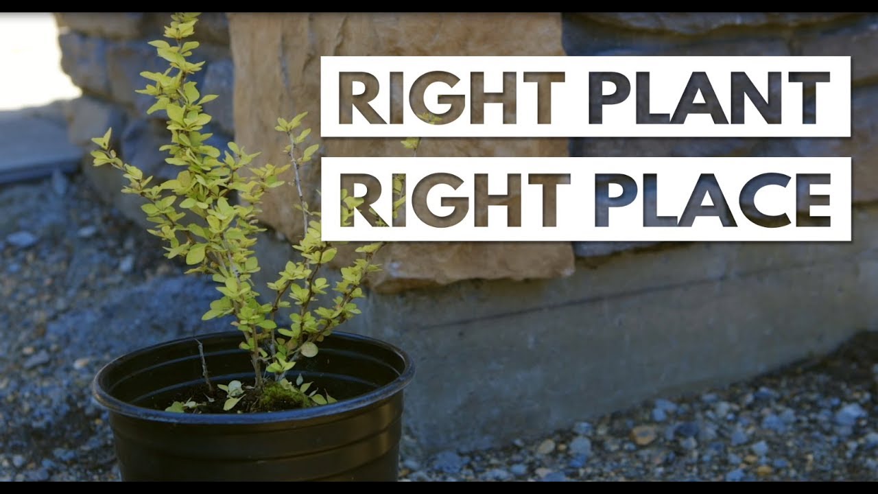 City of Kamloops - Right Place, Right Plant