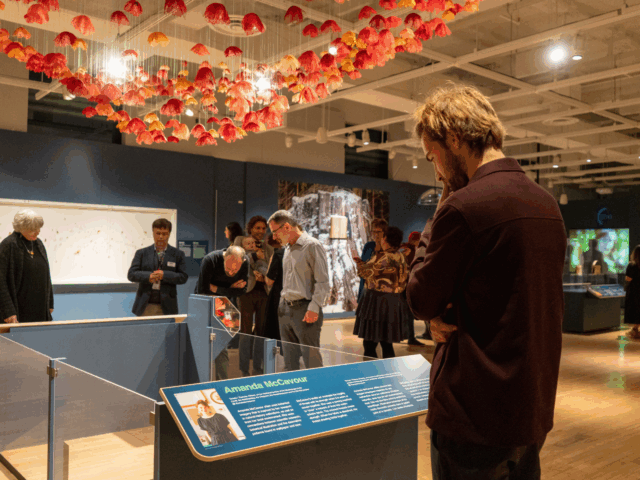 Art lights up our brains and ignites action