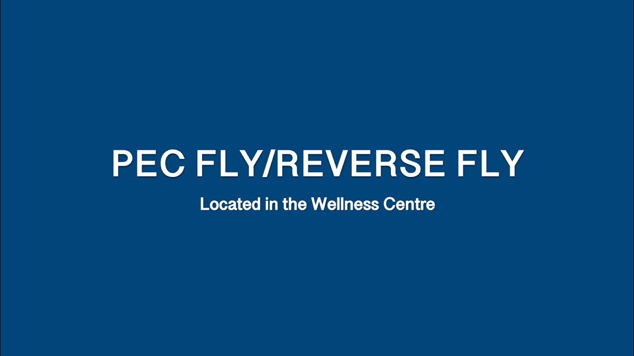 Pec Fly/Reverse Fly