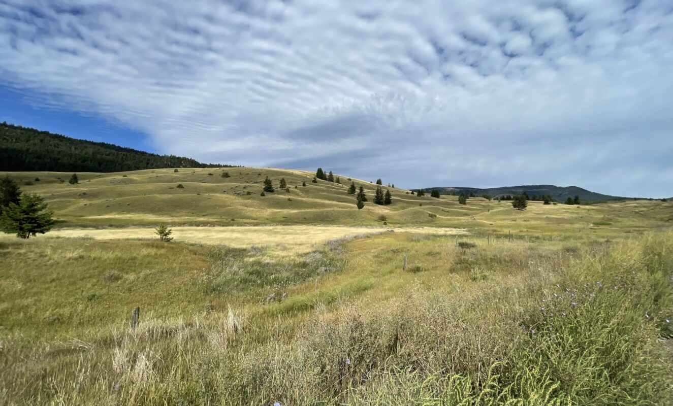 Staying resilient in Kamloops - things to do in Sept/Oct