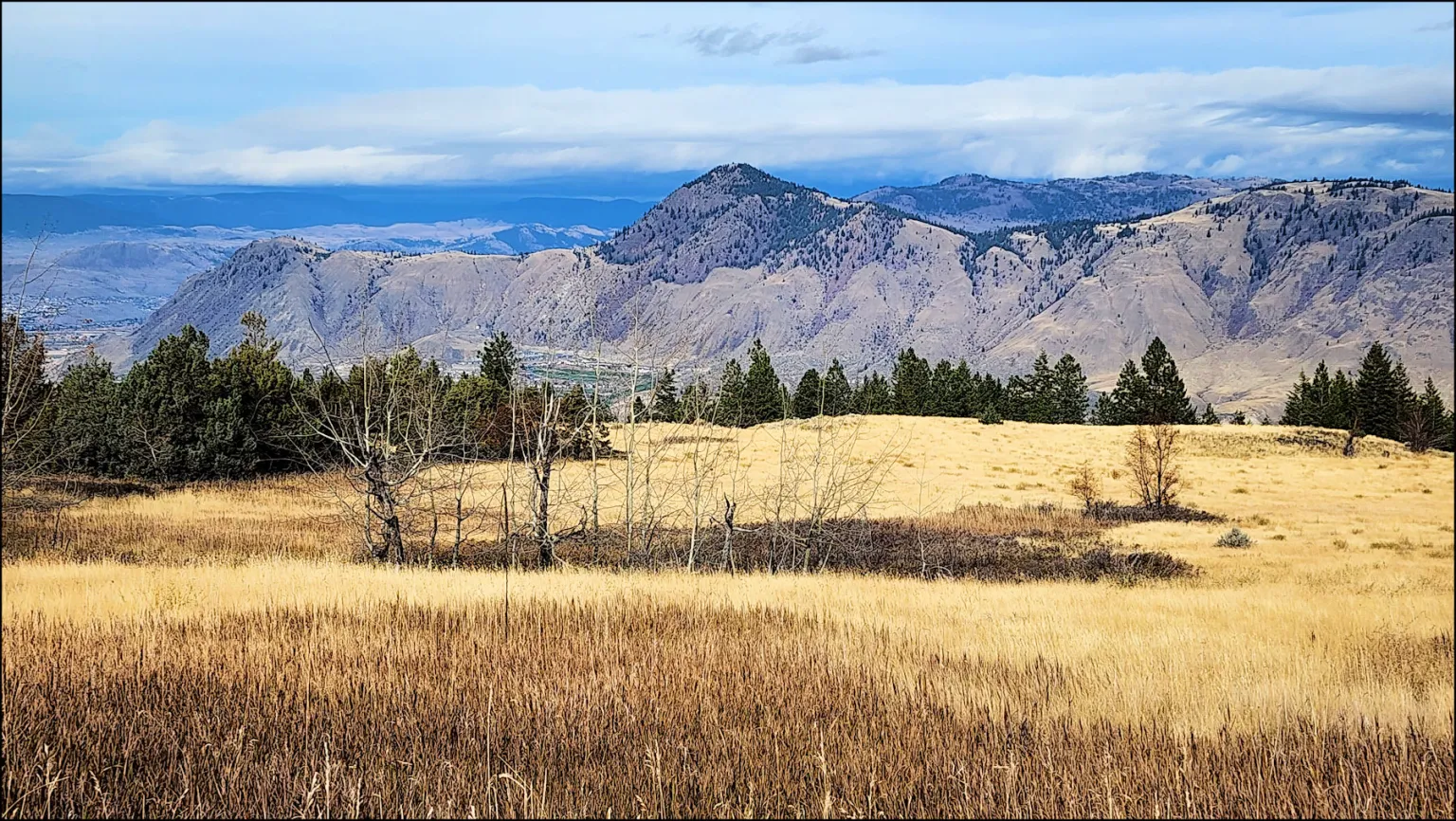 A panoramic view of the yellow grasslands with the hills north of Kamloops in the background