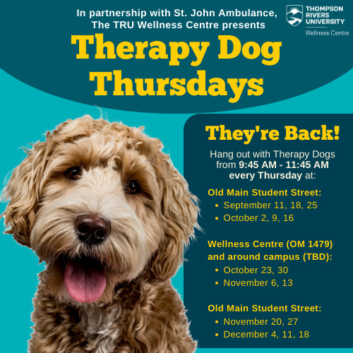 Therapy Dog Thursdays