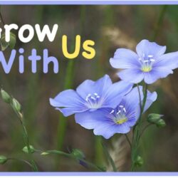 Apply Now for TSMG Basic Training