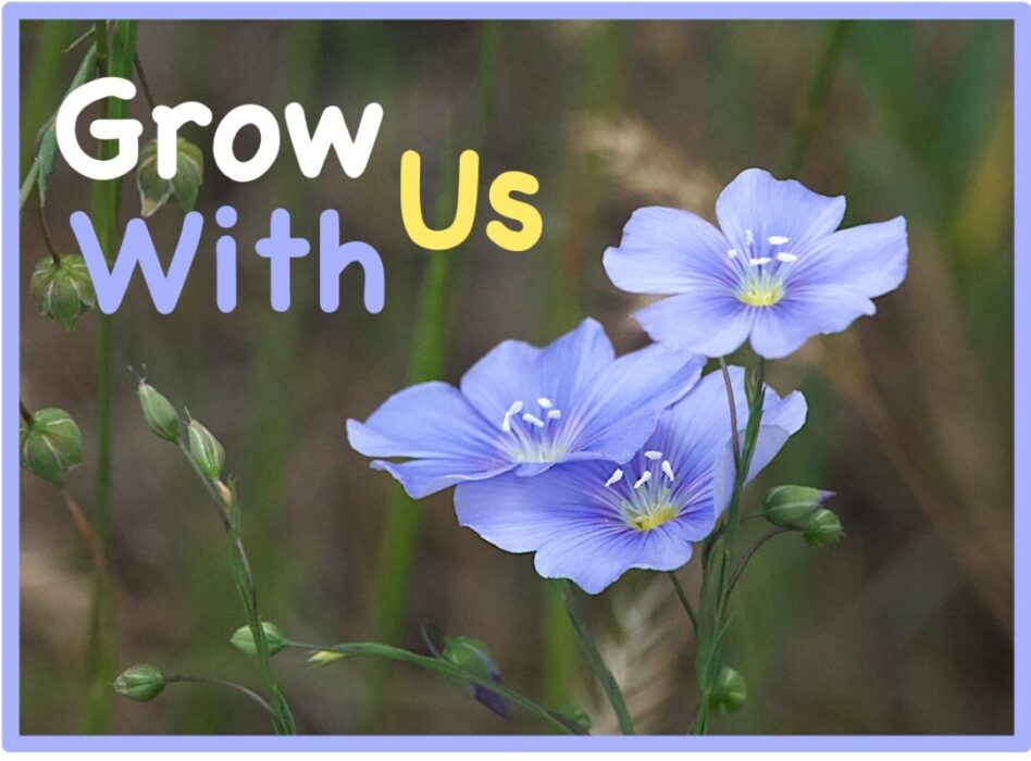 Apply Now for TSMG Basic Training