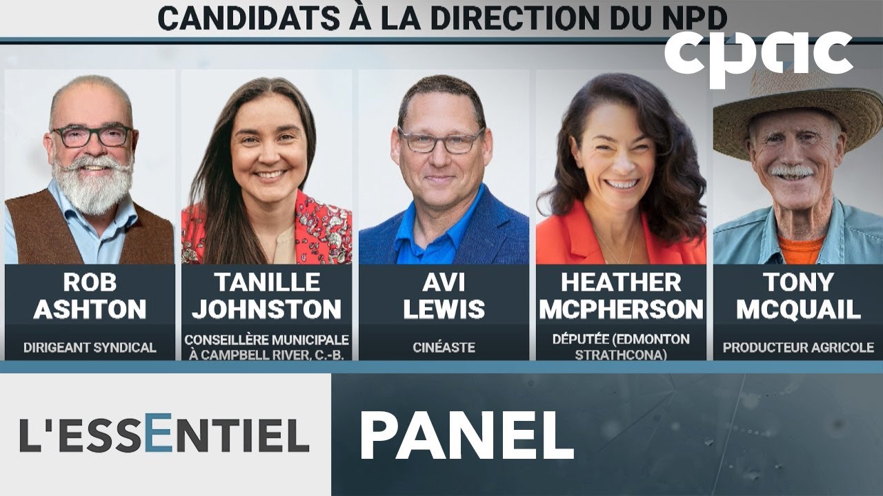 Crise identitaire au NPD: Panel d'analystes