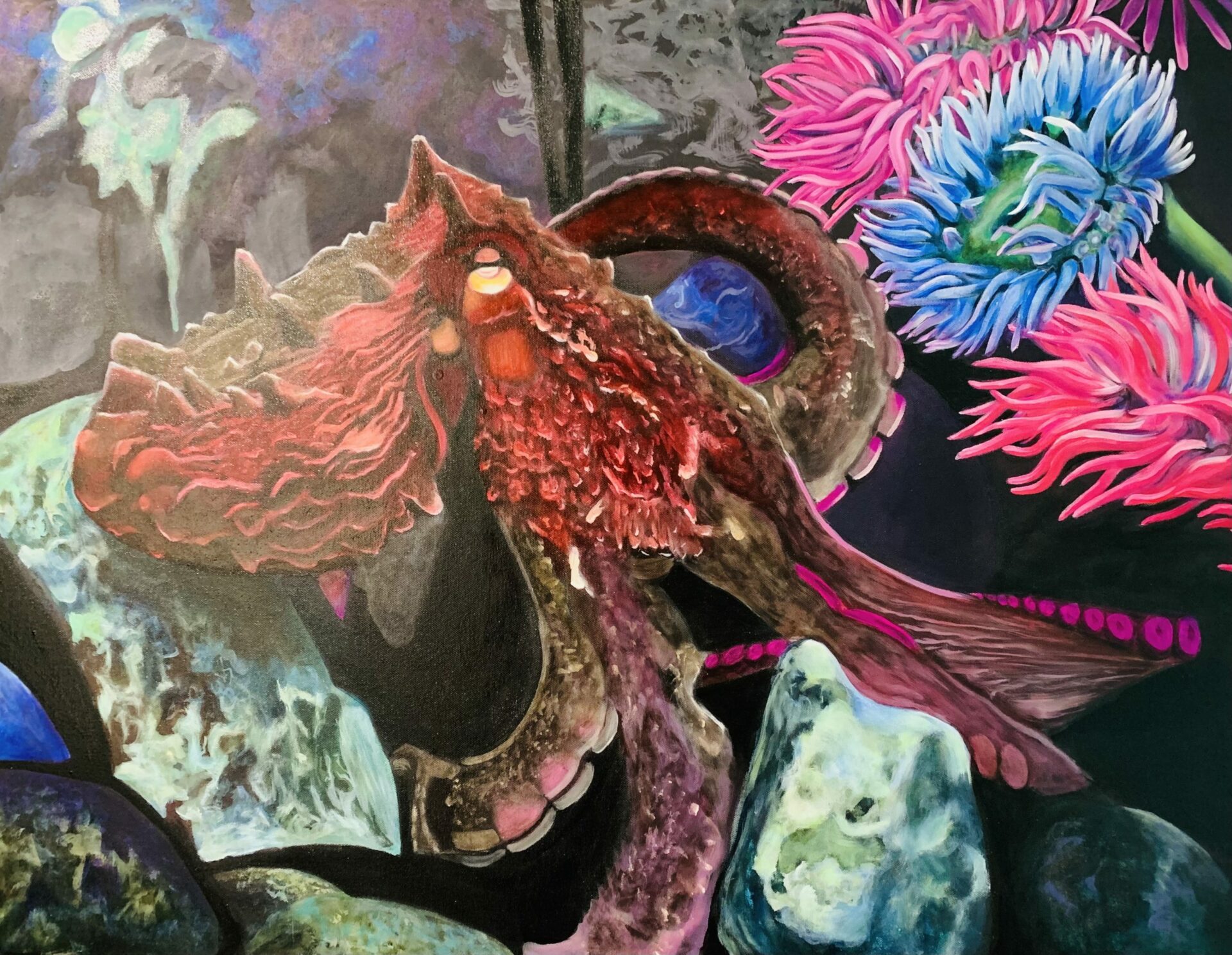 Member of the Month - Kamloops Arts Council