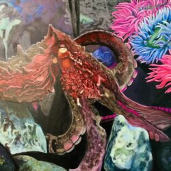 Member of the Month – Kamloops Arts Council