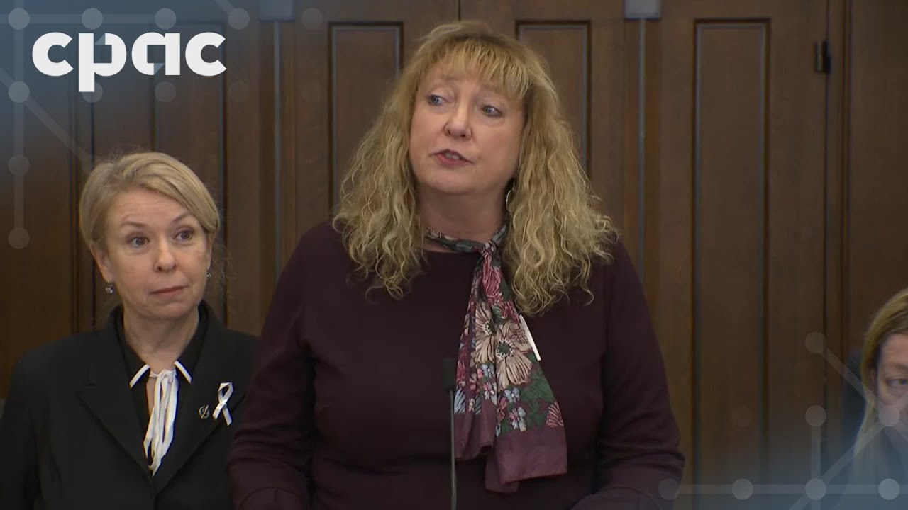 House status of women committee presents report on coercive behavior – November 25, 2025