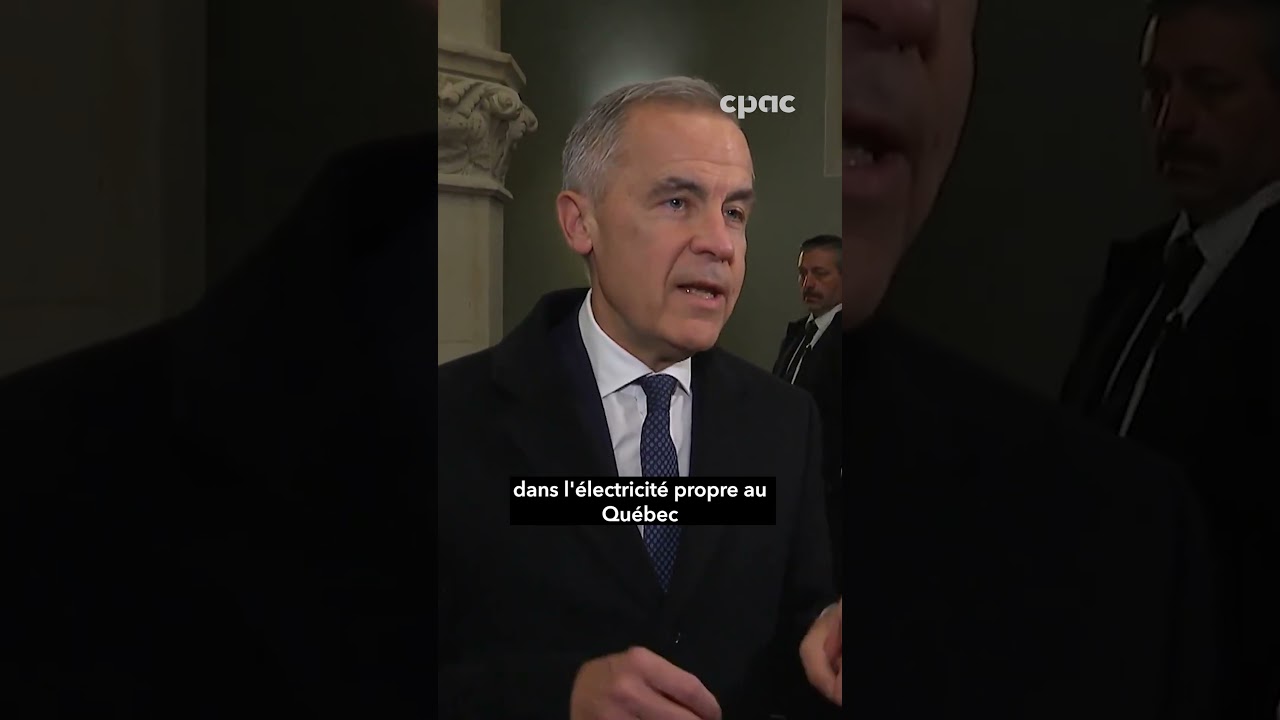 Mark Carney sur les votes de confiance: « Il y a une responsabilité pour tous les députés ».