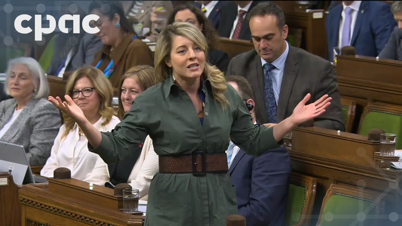 Période des questions – 19 novembre 2025