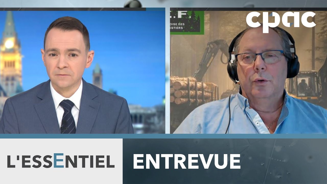Secteur forestier: Quelle aide dont a besoin l'industrie?