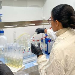 Healing post-mine landscapes with native plants: Rabeya’s research journey