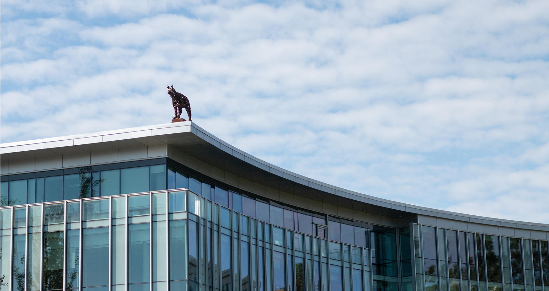 BCcampus Award for Excellence in Open Education: Dani Collins