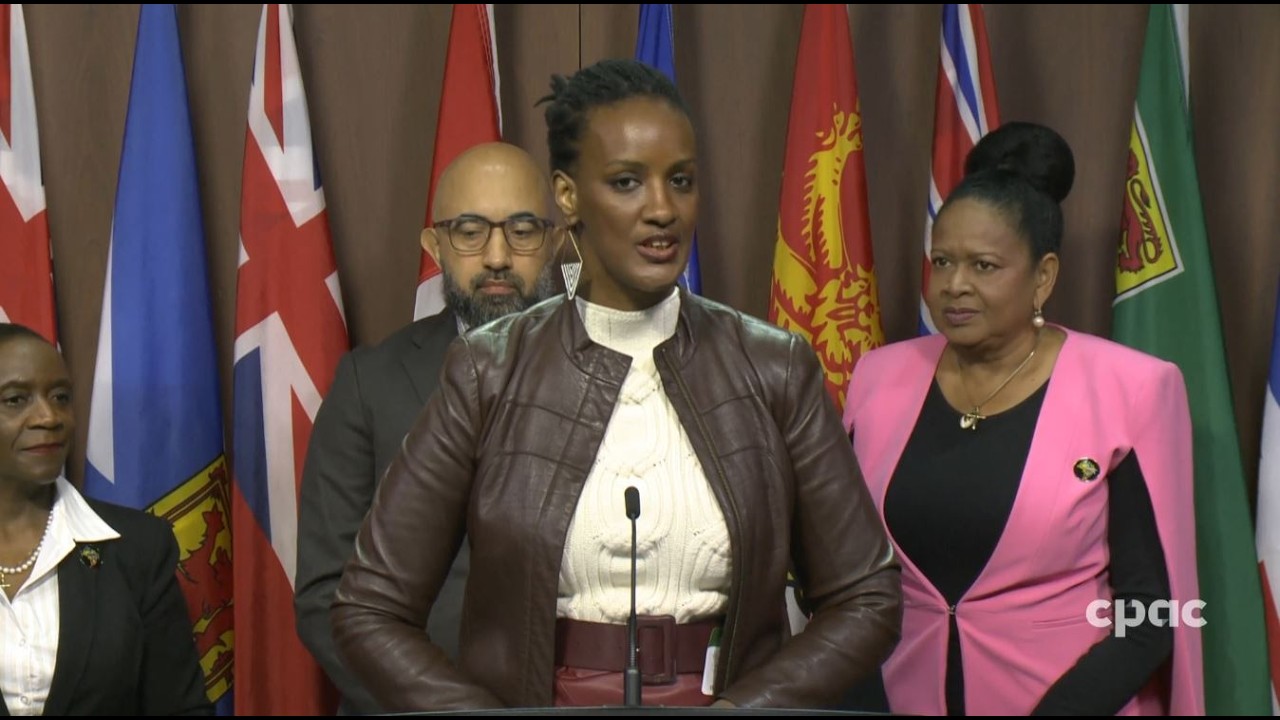 Members of UN forum on people of African descent hold a news conference – February 20, 2026