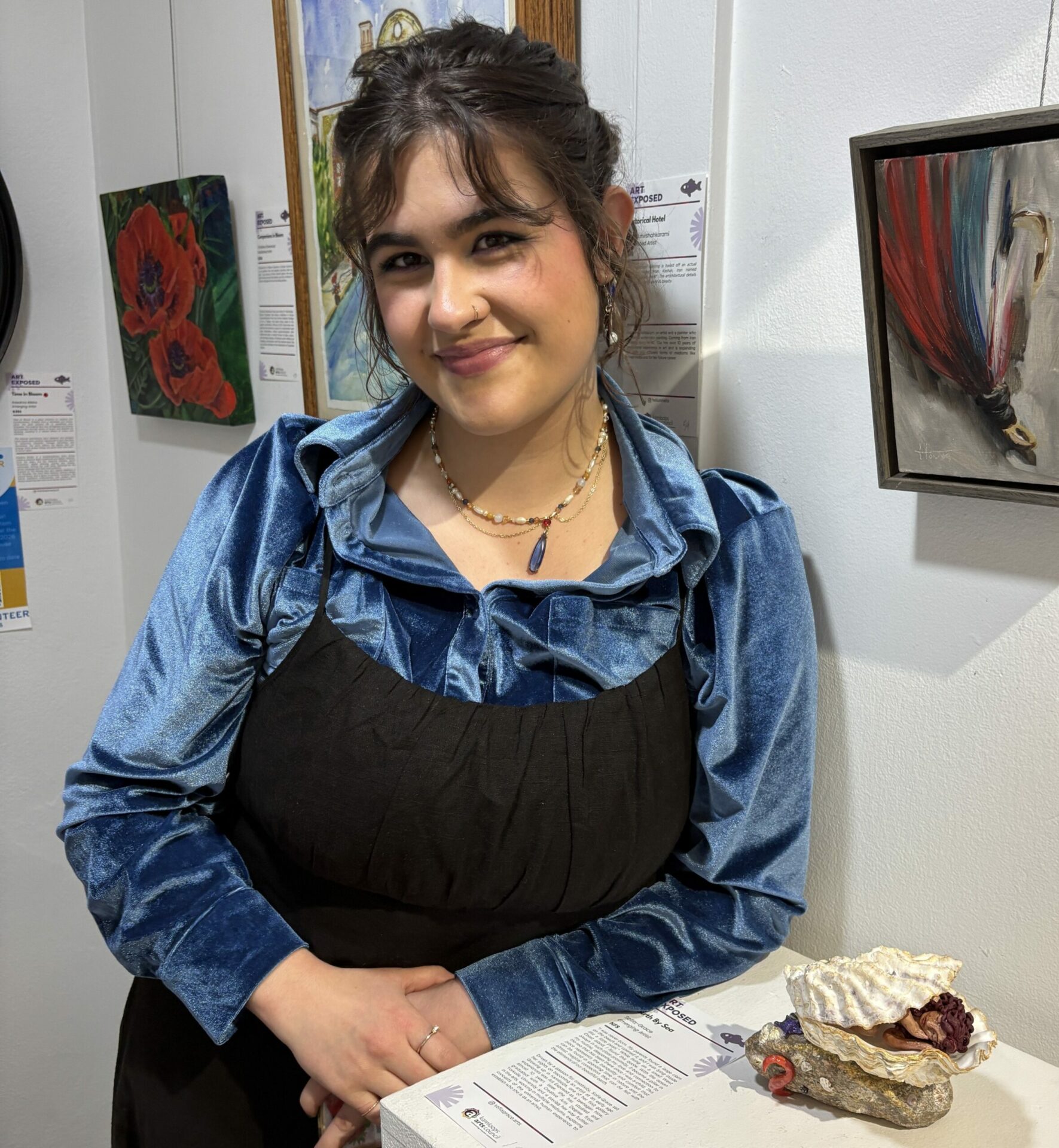 Member of the Month - Kamloops Arts Council